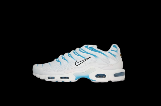 Air Max TN Plus blue fury