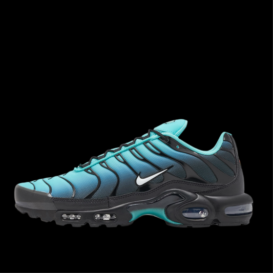 Air Max TN Plus aqua